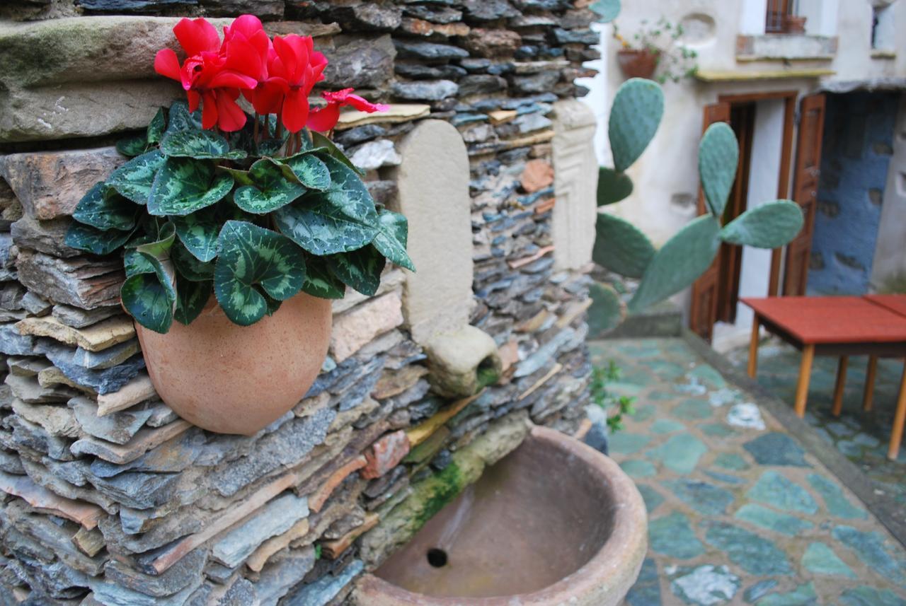 Albergo Diffuso Ecobelmonte 贝尔蒙特卡拉布罗 外观 照片